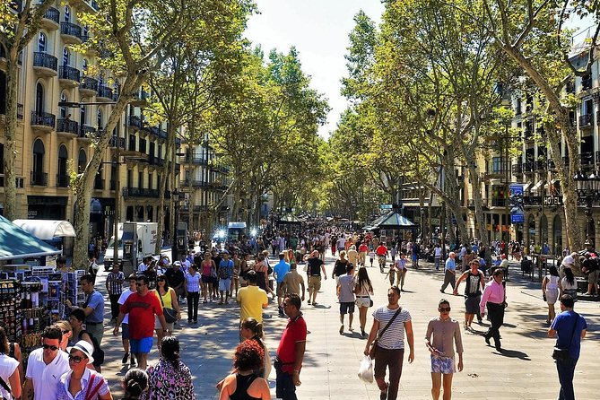 Private Barcelona and Park Güell Tour with hotel Pick-up - Park Güell for 60 Minutes: Tickets Included, Gaudí Everywhere