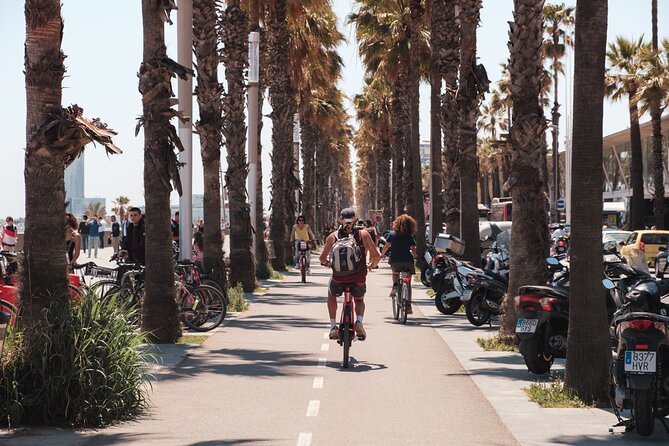 Private Barcelona Bike or E-Bike Tour - Starting in Plaça Reial: the fastest way to get your bearings