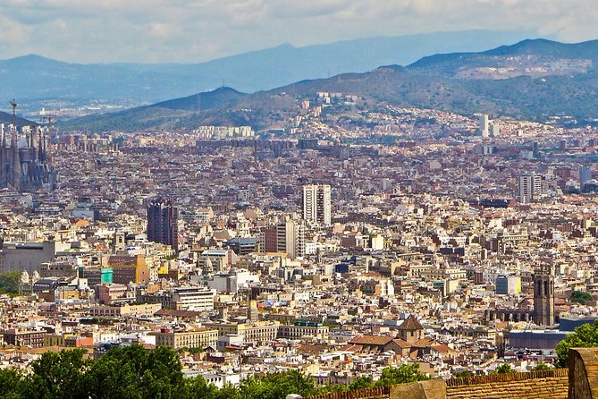 Private Barcelona Half-Day Tour with Local Insights - Las Ramblas + Gothic Quarter: Walk the Classic, Skip the Confusion