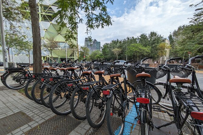 Private Bike or E-bike Tour Starting from your Hotel - Key highlights worth your attention
