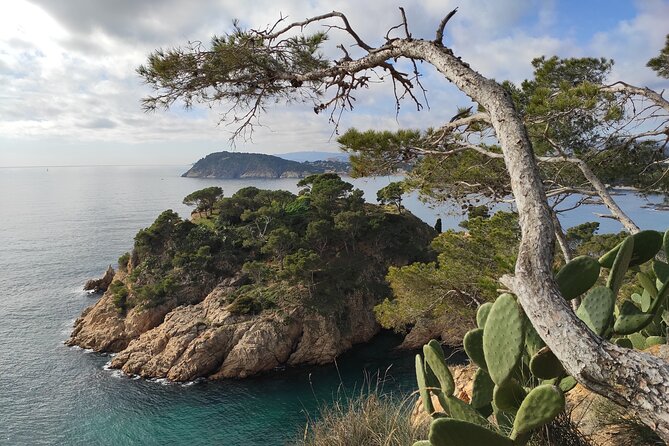 Private Costa Brava Hike and Snorkel from Barcelona with Lunch - Snorkel Breaks in Quiet Coves (and What to Bring)