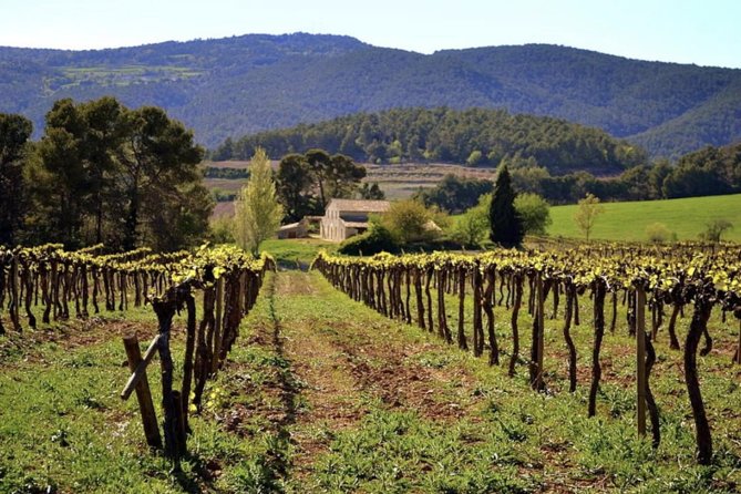 Private Montserrat Tour, Wine Taste & Local Lunch from Barcelona - Sant Sadurní d’Anoia lunch: Catalan plates and a cava glass