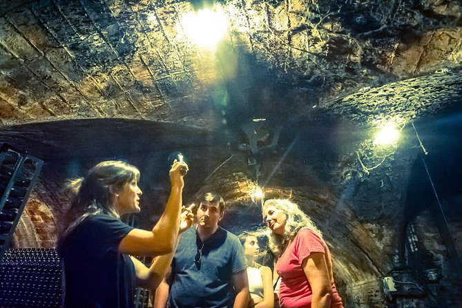 Private Montserrat with Wine Tasting Full Day Trip from Barcelona - Montserrat museum and walking paths: pick your pace, then enjoy it