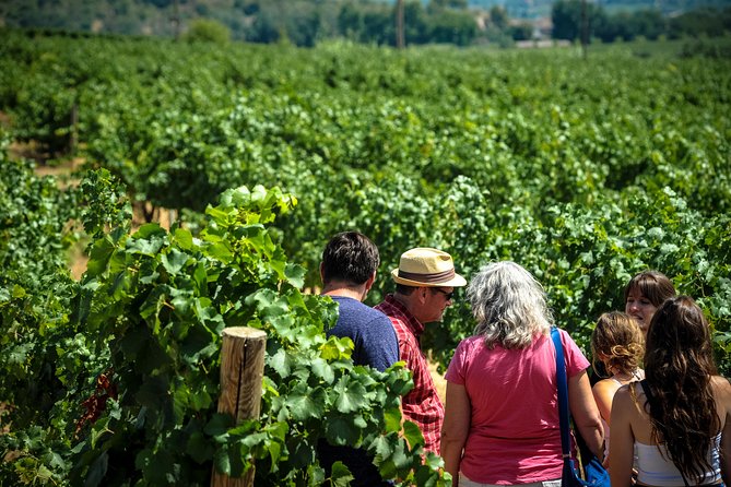 Private Montserrat with Wine Tasting Full Day Trip from Barcelona - The morning plan: pickup and a private ride out of Barcelona