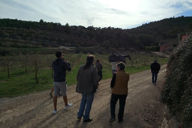 Private Oil Tasting Tour - Navas, Catalonia: small-town history and a slower pace