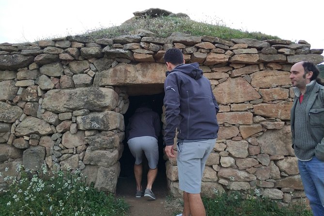 Private Oil Tasting Tour - Oli Migjorn: olive groves, pressing lessons, and 3 organic oils