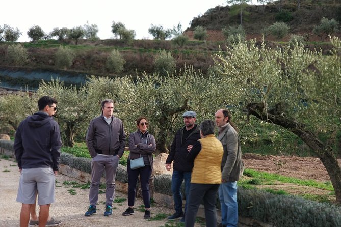 Private Oil Tasting Tour - How to taste olive oil like a pro, even if you’re not a foodie