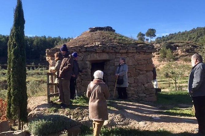 Private Oil Tasting Tour - Organic Catalan products and snacks: what to expect