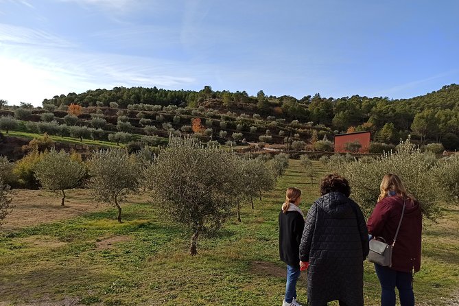 Private Oil Tasting Tour - Price and value: is $414.22 per person worth it?