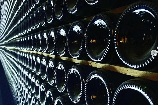 Private Tour: Top Three Organic Wineries & Local Lunch Included - Penedès Wine Country, Minus the Rental-Car Headache