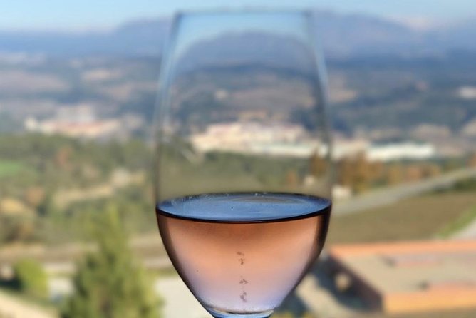 Private Tour: Top Three Organic Wineries & Local Lunch Included - Price and Value: What $811.07 Per Person Includes