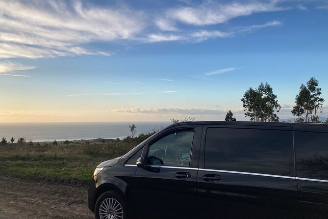 Private Transportation from Granada City to Malaga Airport - Price and Value: Is $319.03 Per Person a Smart Deal?