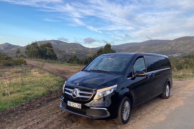 Private Transportation from Granada City to Malaga Airport - Should You Book This Private Transportation From Granada City to Málaga Airport?