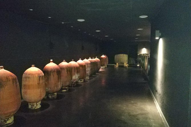 Private Wine & Cava Tasting Tour In Penedes with hotel pick up - Avinyonet del Penedès: Vineyard Walk and San Juan Salem