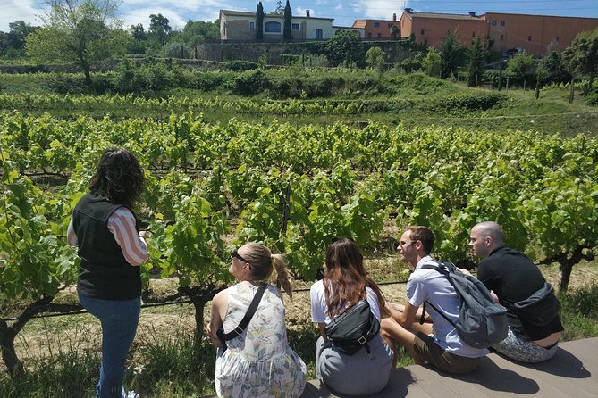 Private Wine & Cava Tasting Tour In Penedes with hotel pick up - Sant Pau d’Ordal: Historic Sparkling Wine and the Capella Caves