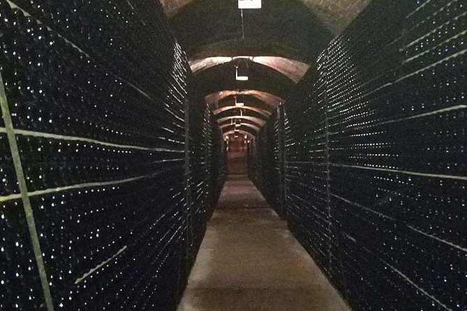 Private Wine & Cava Tasting Tour In Penedes with hotel pick up - Gran Reserva Cava Tasting with Tapas Underground