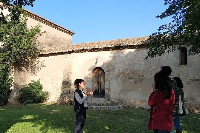 Private Wine & Cava Tasting Tour In Penedes with hotel pick up - Food, Pours, and What You Actually Get