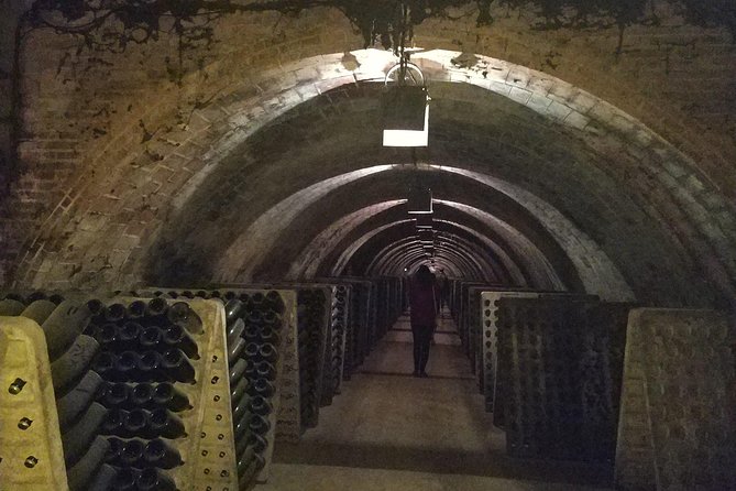 Private Wine & Cava Tasting Tour In Penedes with hotel pick up - How Private Feels in Practice (and How to Avoid Surprises)
