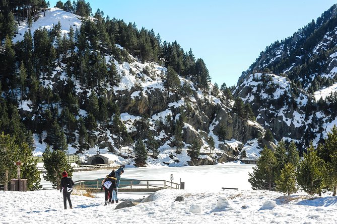Pyrenees & Medieval Towns Small Group Tour from Barcelona - The rack railway to Nuria Valley: the scenic payoff