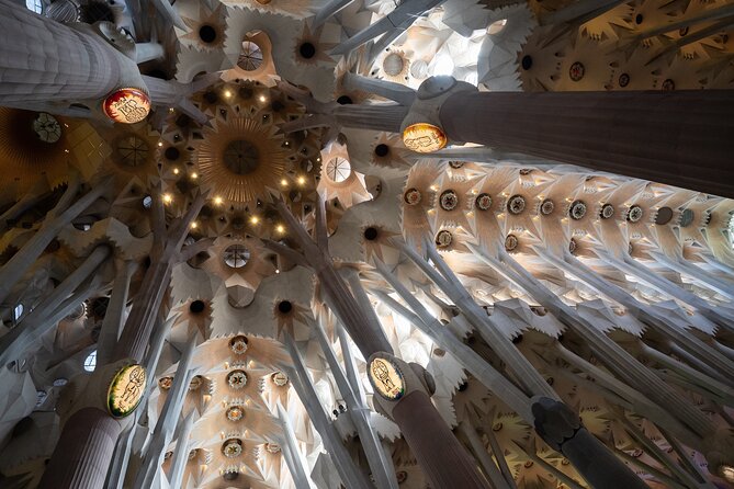 Sagrada Familia and Guell Park Private Tour - Park Güell: mosaics, Gaudí’s philosophy, and the central-square moment