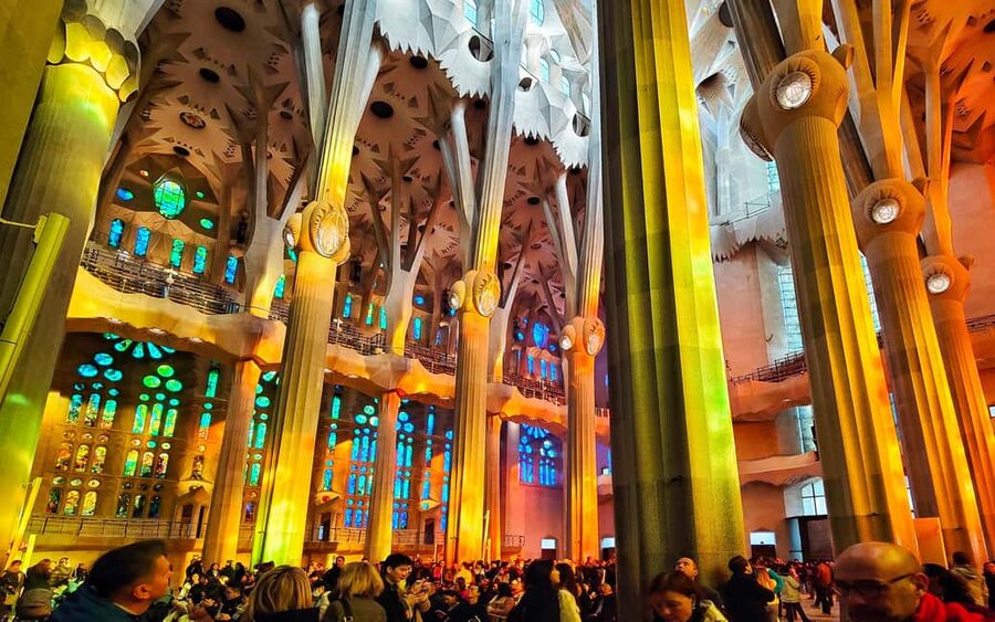 Sagrada Familia Private/Small Group Tour with an architect - Interior Time: The Forest Hall and Stained-Glass Light