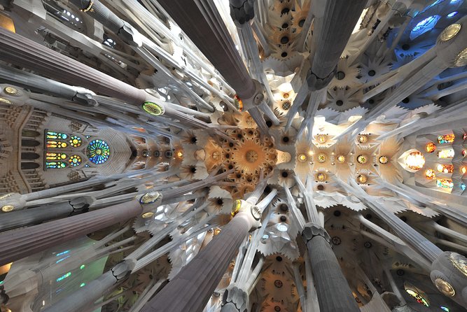 Sagrada Familia Private Tour in Barcelona - Towers option: the city views—and the rules you must know