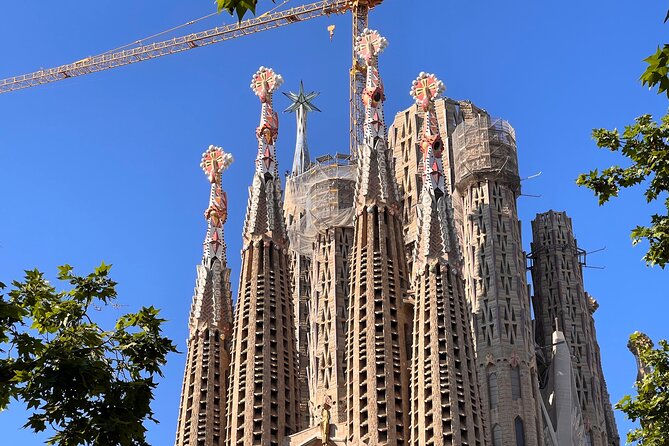 Sagrada Familia Tour with Express Entry and Local Guide - Inside the Basilica: What the Guided Hour Really Covers