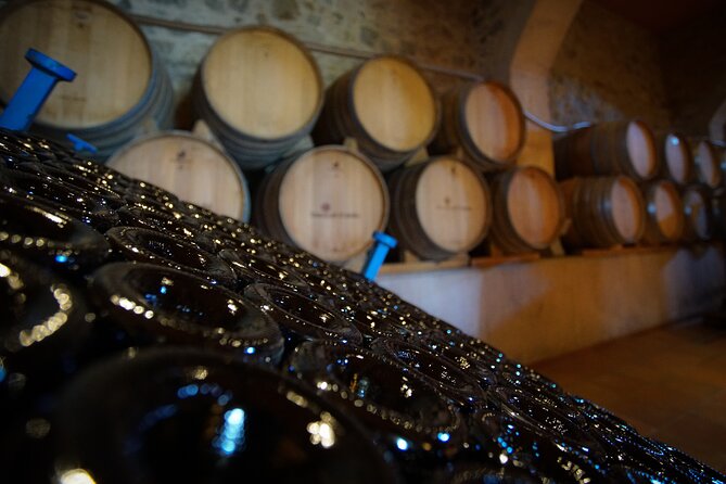 Sailing and Wine Tasting Experience Small Group in Barcelona - Who should book this sailing and wine tasting