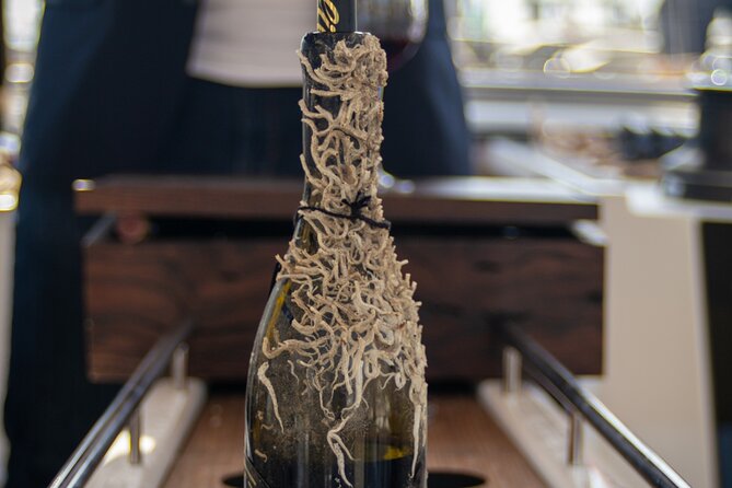 Sailing Tour and Tasting of Submarine wines on board - Sailing From Marina Vela: What 2 Hours Feels Like