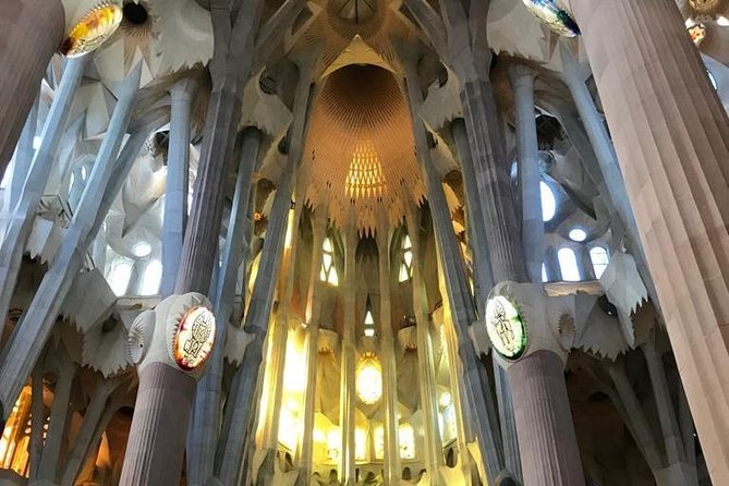 Skip The Line : La Sagrada Familia Guided Tour - The one real risk: if the guide goes missing