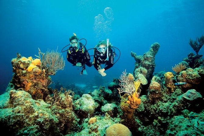Small Group Diving Baptism in Tossa de Mar - Key highlights I’d pay attention to