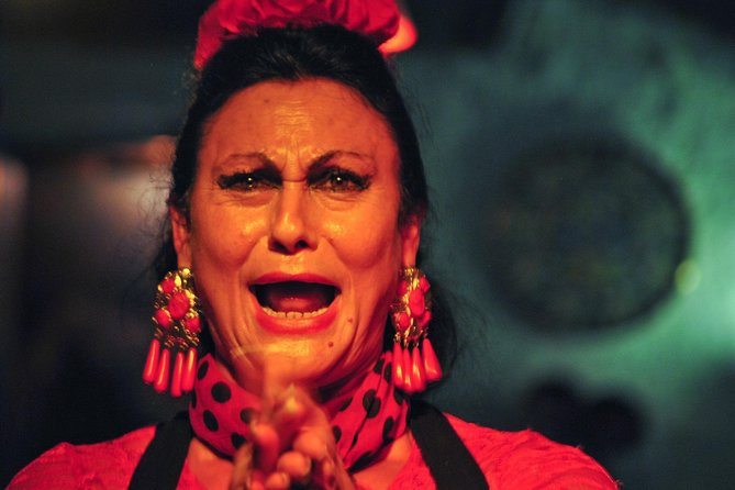 Tapas, Wine and Flamenco Private Tour in Barcelona - Who this tour fits best (and who might feel annoyed)
