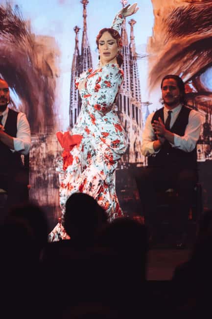 Teatro Flamenco Barcelona: Authentic Live Flamenco Show - Price and value near $26: what you’re actually paying for