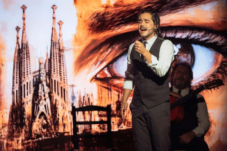 Teatro Flamenco Barcelona: Authentic Live Flamenco Show - VIP options: meet-and-greet, direct entry, and the one caution