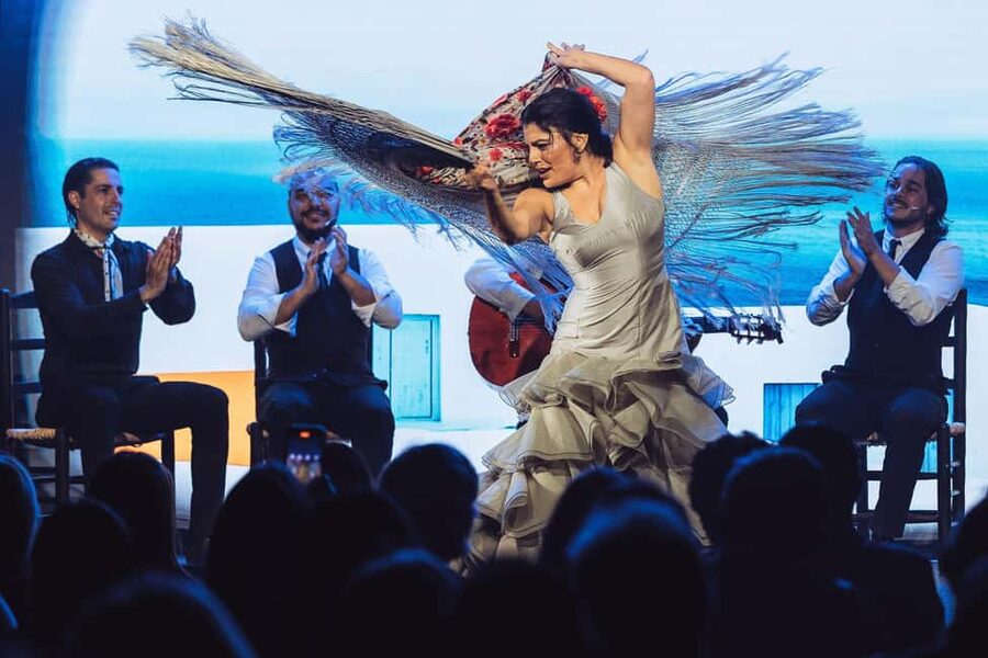 Teatro Flamenco Barcelona: Authentic Live Flamenco Show - Who should book this flamenco night