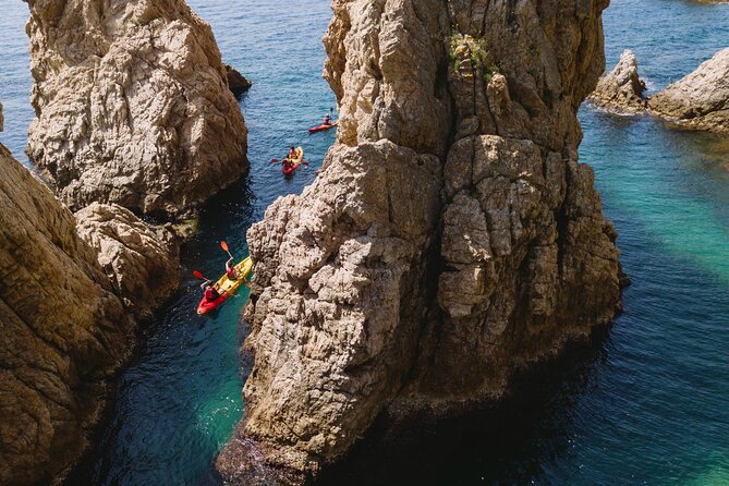 Tossa de Mar: Kayak & Snorkel Tour with Paella from Barcelona - Snorkeling breaks: crystal water, real conditions, and sea life