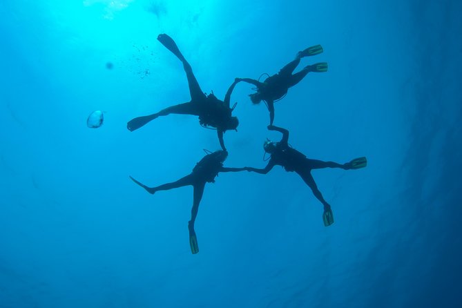Tossa de Mar Scuba Diving PADI - Your First Underwater Session: Guided, Controlled, and Safer Than You Think