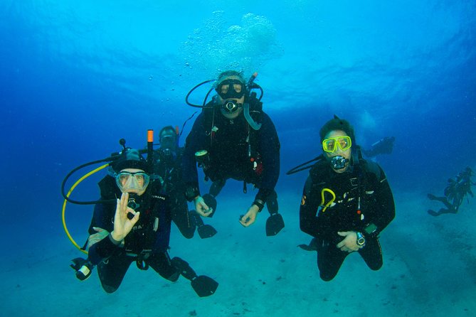 Tossa de Mar Scuba Diving PADI - Photos and Video: Don’t Miss This Part of the Value