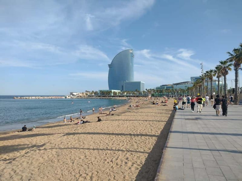 Tour of Barceloneta and the Citadel Park - Barceloneta on foot: fishermen dwellings, sea-front life, and the 1992 glow-up