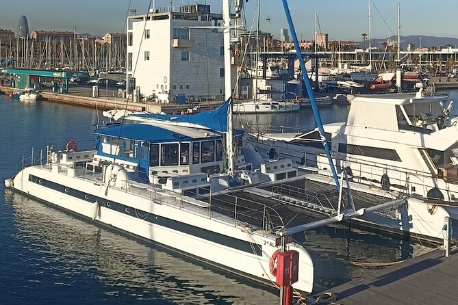 Vermouth in Catamaran A gastronomic experience in Barcelona - Who should book: families, friend groups, and city-first visitors