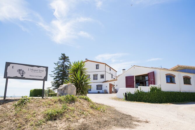 Viticulture and Wine-Tasting 3-Hour Trip from Barcelona - Alt Penedès in a Hurry: The 3-Hour Shape of the Day