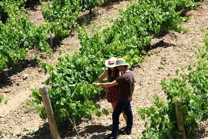 Viticulture and Wine-Tasting 3-Hour Trip from Barcelona - The Wine Tasting and Aperitif: What You’ll Eat and How to Taste