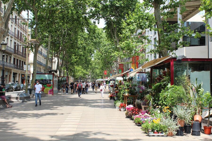 Walking Tour Gothic Quarter and Ramblas+Boat Trip - Plaza Nova and the Roman Wall Remains