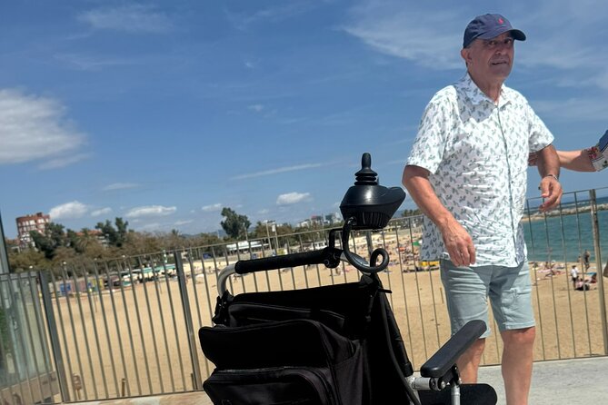 Wheelchair Friendly Private Tour of Barcelona Highlights - Getting Around: The Accessible Van and Pickup System