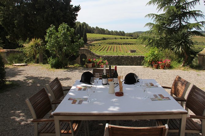 Wine & Cava Penedes Tour: Wineries, Wine Tasting and Tapas - Key highlights worth your attention