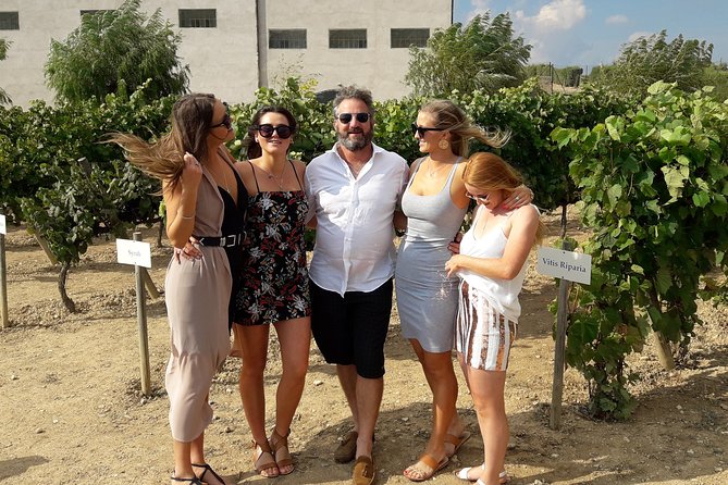Wine & Cava Penedes Tour: Wineries, Wine Tasting and Tapas - Stop 2: Albet i Noya Tapas Lunch and Second Tasting (2 hours)