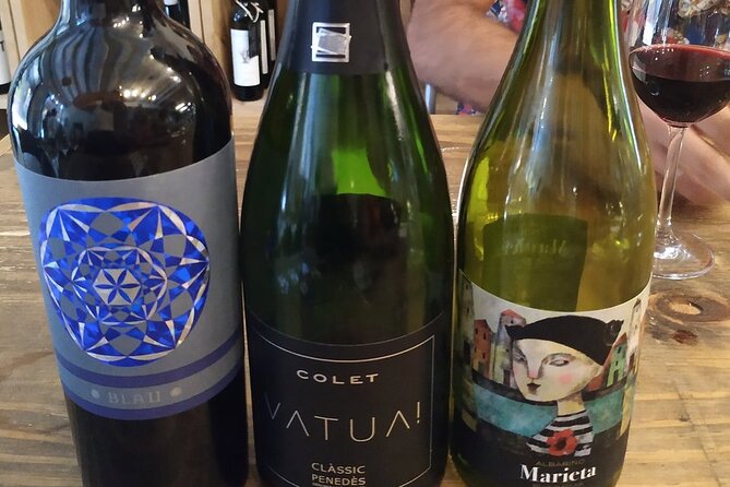 Wine Tasting Experience in Barcelona - Catalonia wine 101: the story that makes your next meal make sense