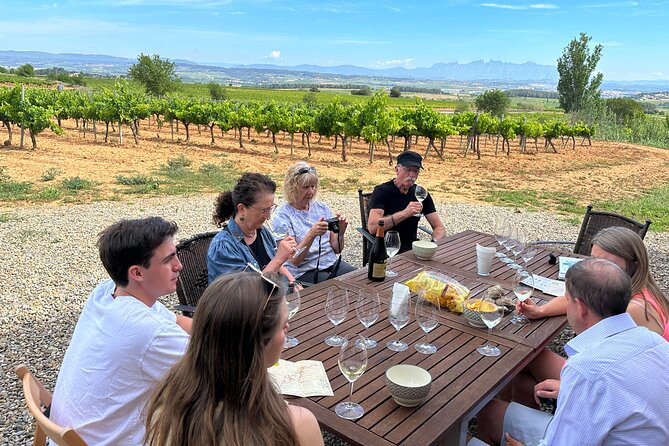 Wine Tasting in Three Boutique Wineries Tour - Max 8 people - Key highlights worth your attention
