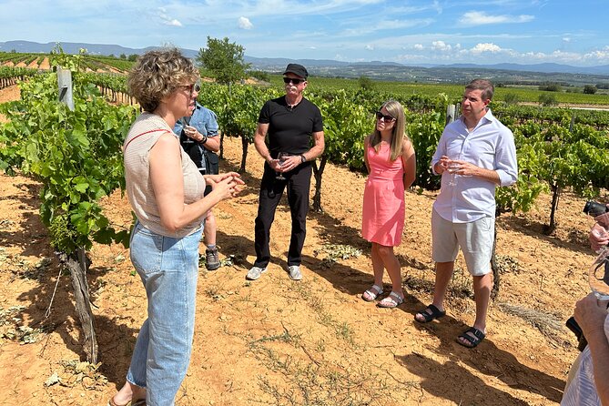 Wine Tasting in Three Boutique Wineries Tour - Max 8 people - How tastings work in this Penedés day trip