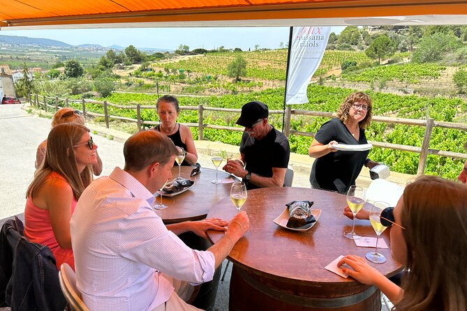 Wine Tasting in Three Boutique Wineries Tour - Max 8 people - Transport, pacing, and what to bring for a long wine day